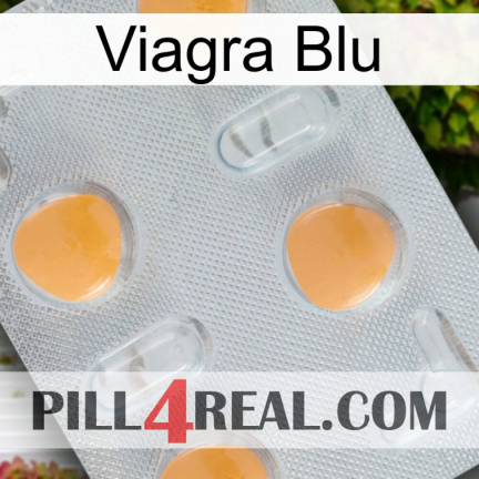 Viagra Blu 24